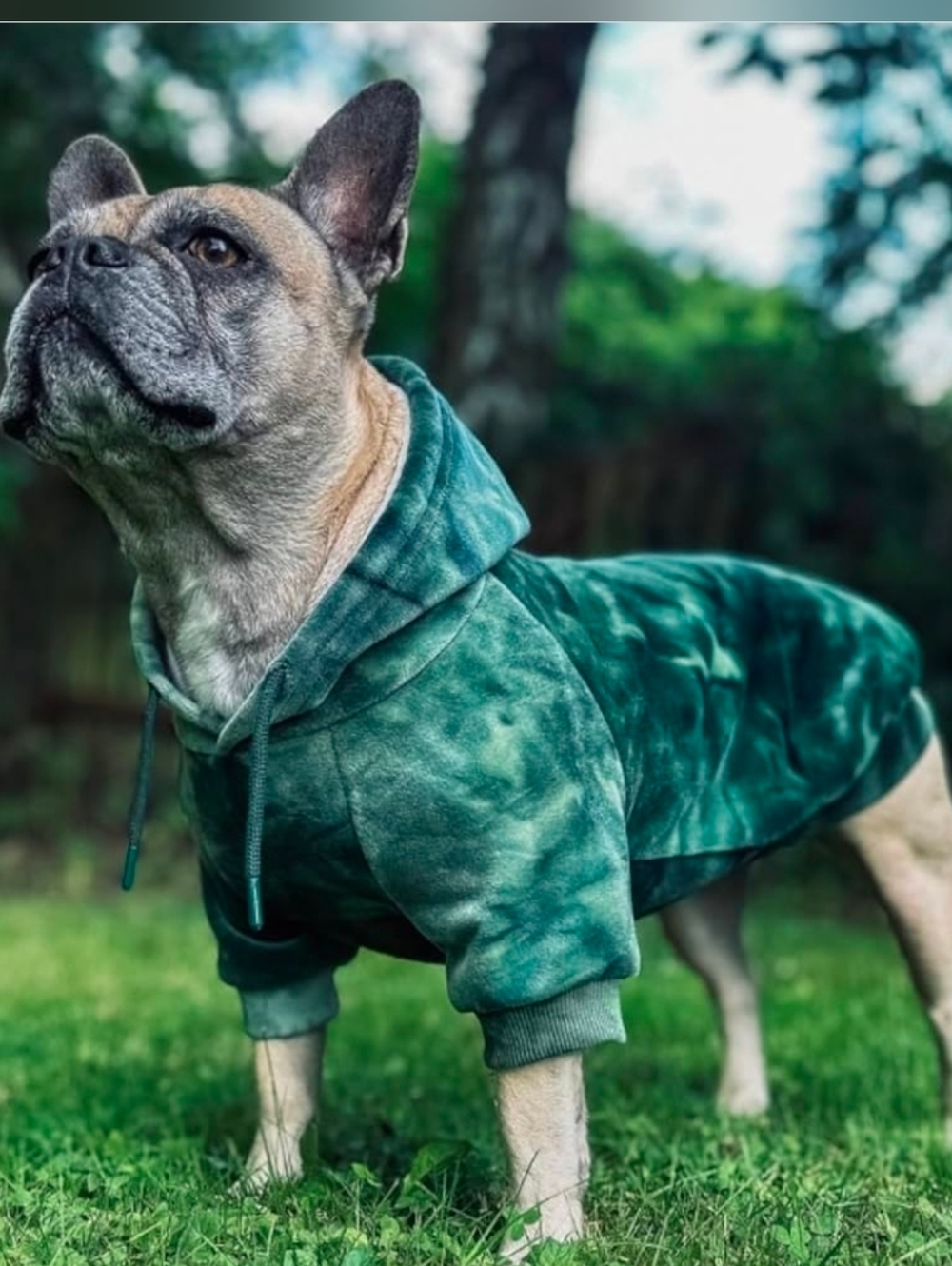 Spark Paws Emerald Tie Dye Dog Hoodie